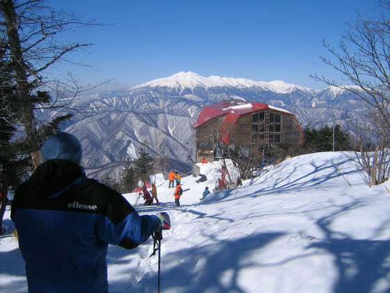 080308nomugi12.JPG