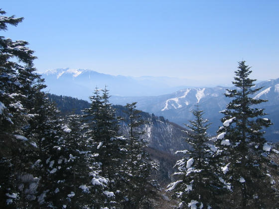 080308nomugi13.JPG