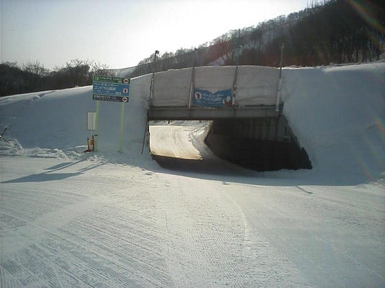 0803114700.jpg