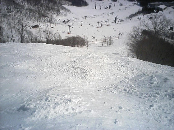 080311goryu00.jpg