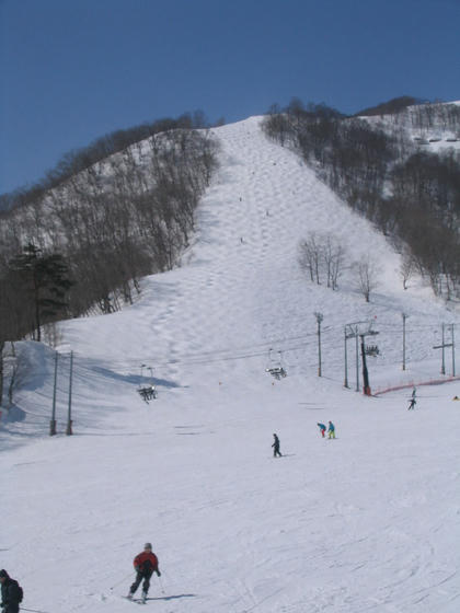 080311goryu01.JPG