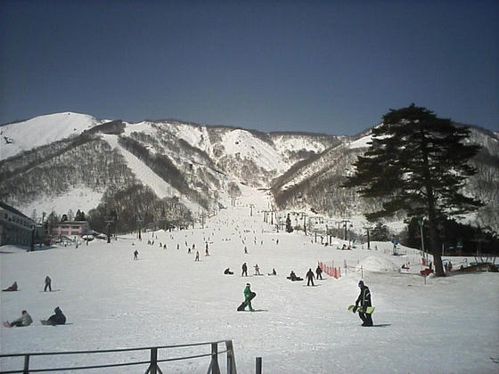 080311goryu02.jpg