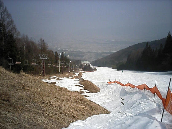 080313inari00.jpg