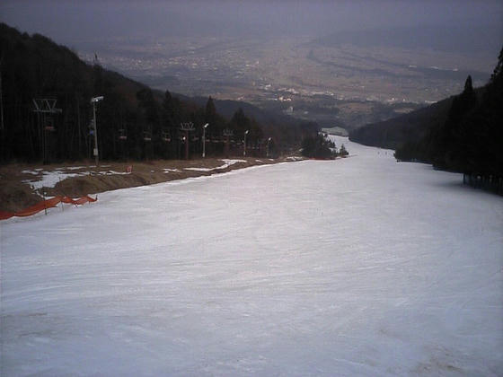 080313inari01.jpg