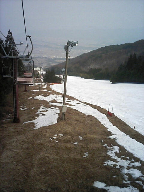 080313inari02.jpg