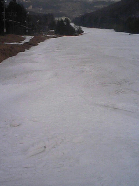 080313inari04.jpg