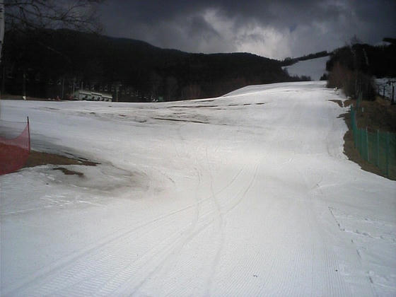 080328nomugi08.jpg