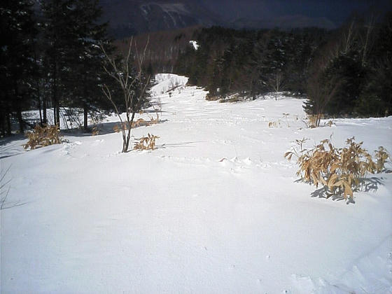 080328nomugi09.jpg
