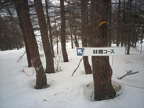 080413asama09.jpg