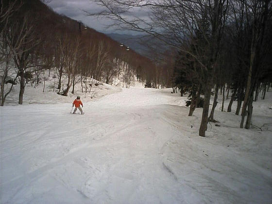 080420tugaike05.jpg