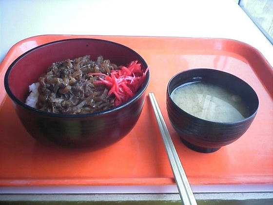 080420tugaike13.jpg