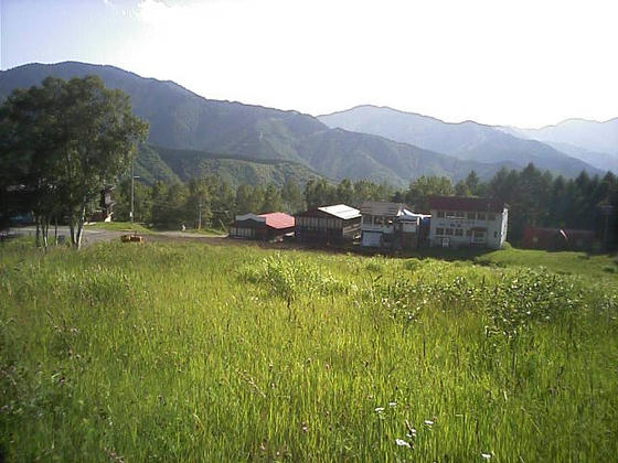 080712nomugi00.jpg