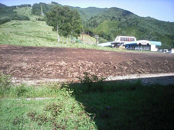 080712nomugi02.jpg