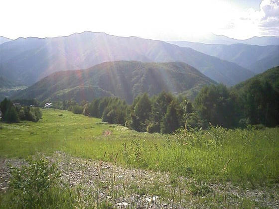 080712nomugi101.jpg