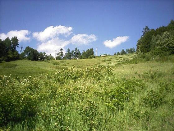 080712nomugi102.jpg