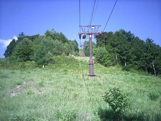 080712nomugi103.jpg