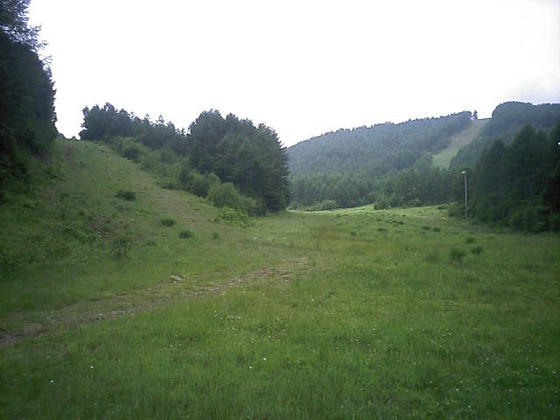 080716kouni02.jpg