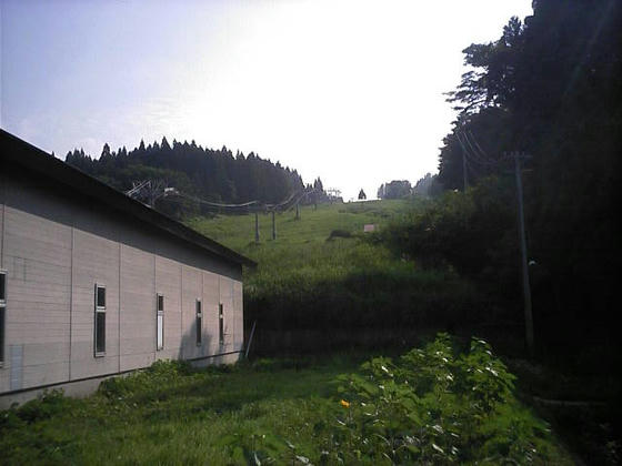 080801itoi01.jpg