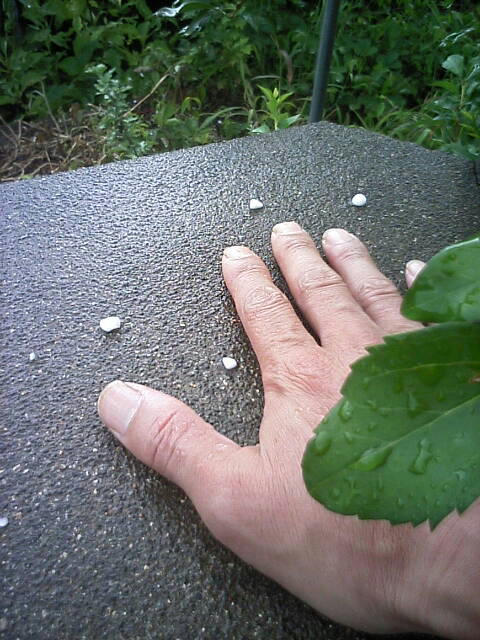 080808hyou00.jpg