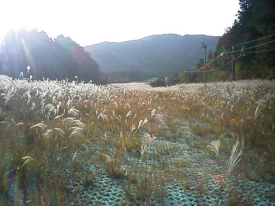 081020ina01.jpg