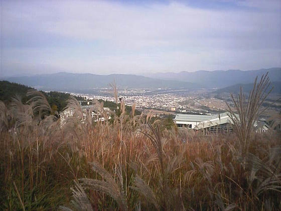 081020ina03.jpg
