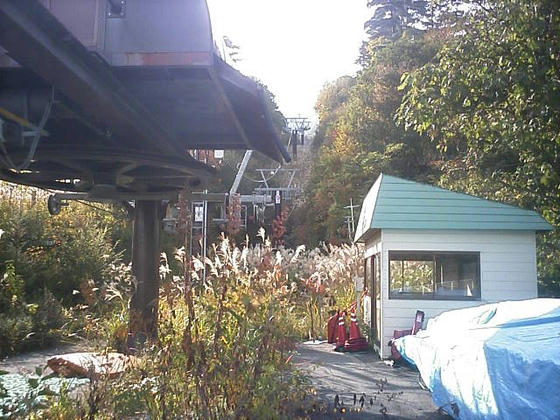 081020ina08.jpg