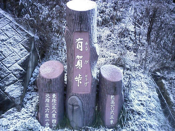 081122yatu01.jpg