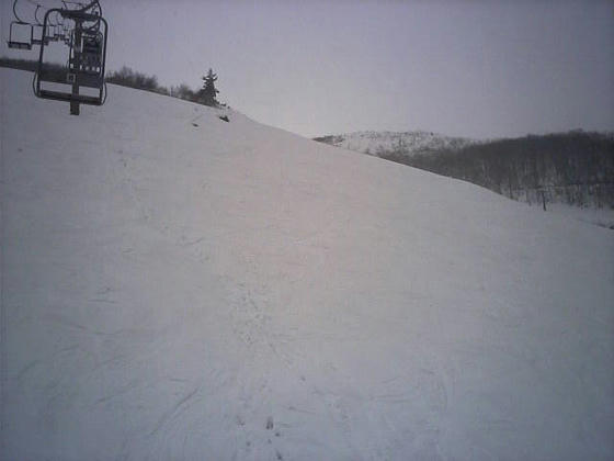 081206happou08.jpg