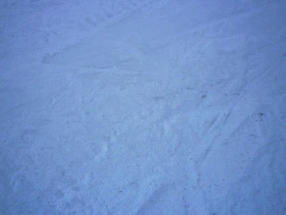 081207bt11.jpg