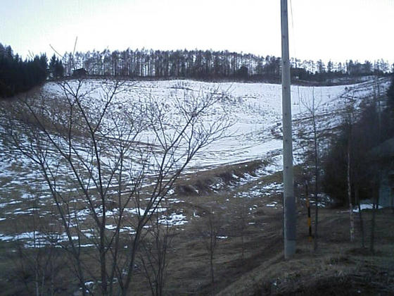 081207ecoh02.jpg