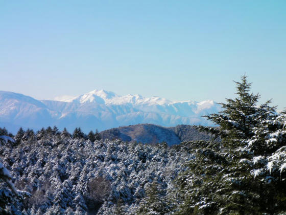 081207mt05.JPG