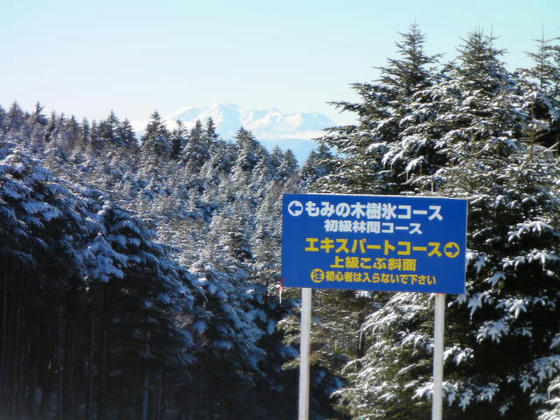 081207mt06.JPG