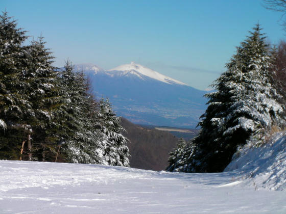081207mt07.JPG
