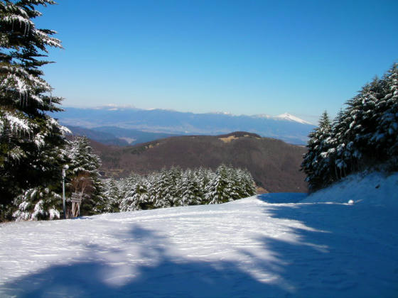 081207mt08.JPG