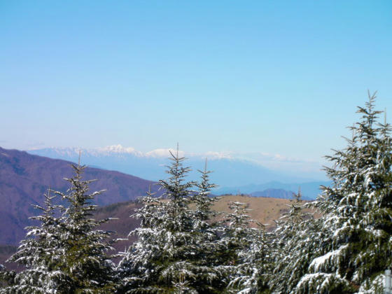 081207mt09.JPG