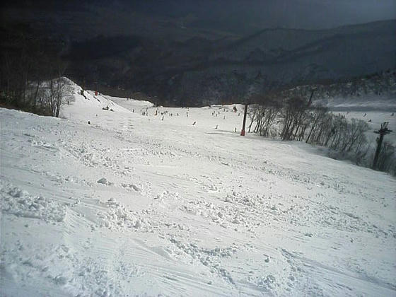 081213goryuu00.jpg