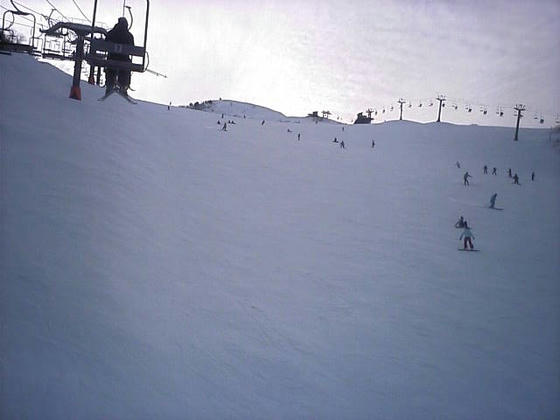 081213goryuu06.jpg