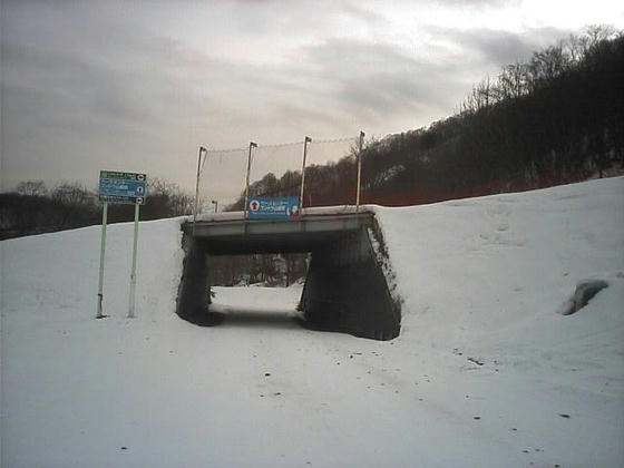 081213h47wsp07.jpg