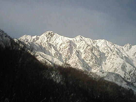 081213h47wsp09.jpg
