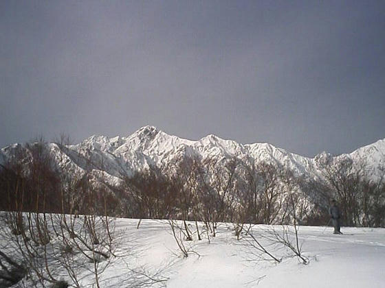 081213h47wsp10.jpg