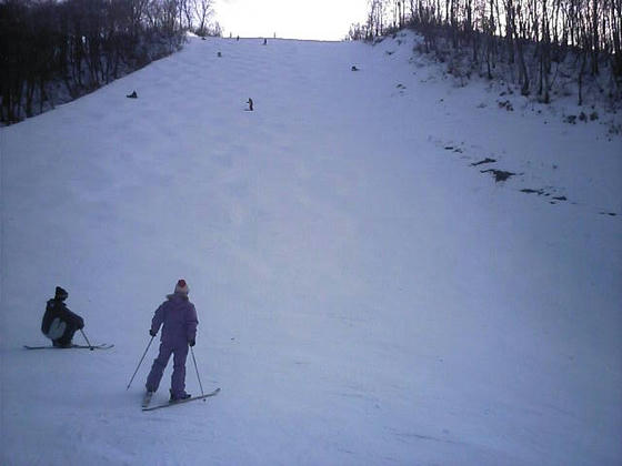 081213h47wsp20.jpg