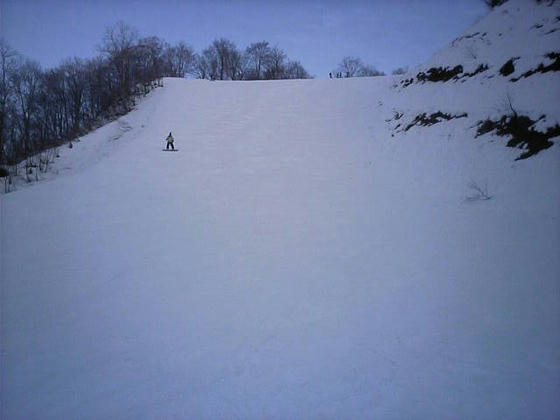 081213h47wsp21.jpg