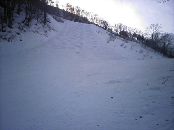 081213h47wsp22.jpg