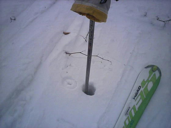 081213h47wsp27.jpg
