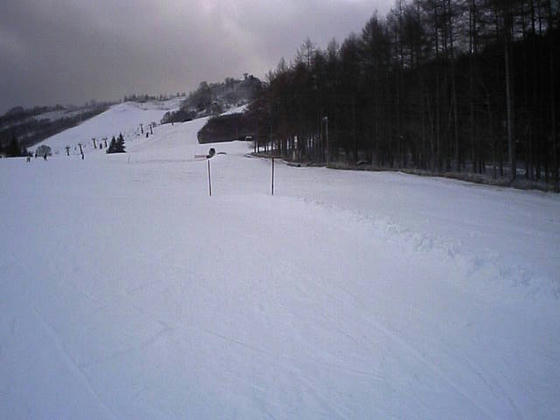 081223sirakaba01.jpg