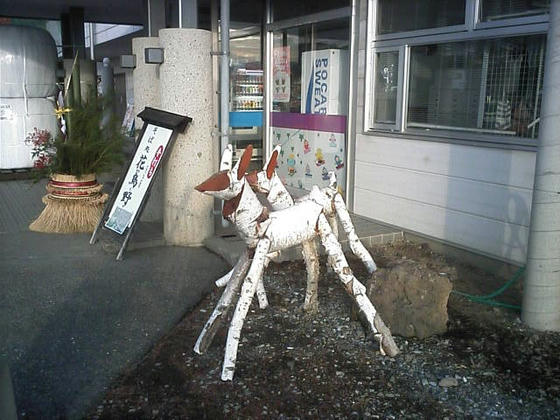 081224fujimi13.jpg