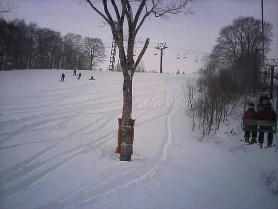 081227iwatake10.jpg