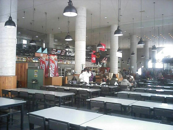 081227iwatake13.jpg