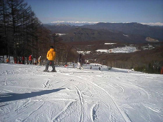 081229kokusai02.jpg