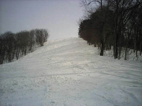 8b822958.jpeg